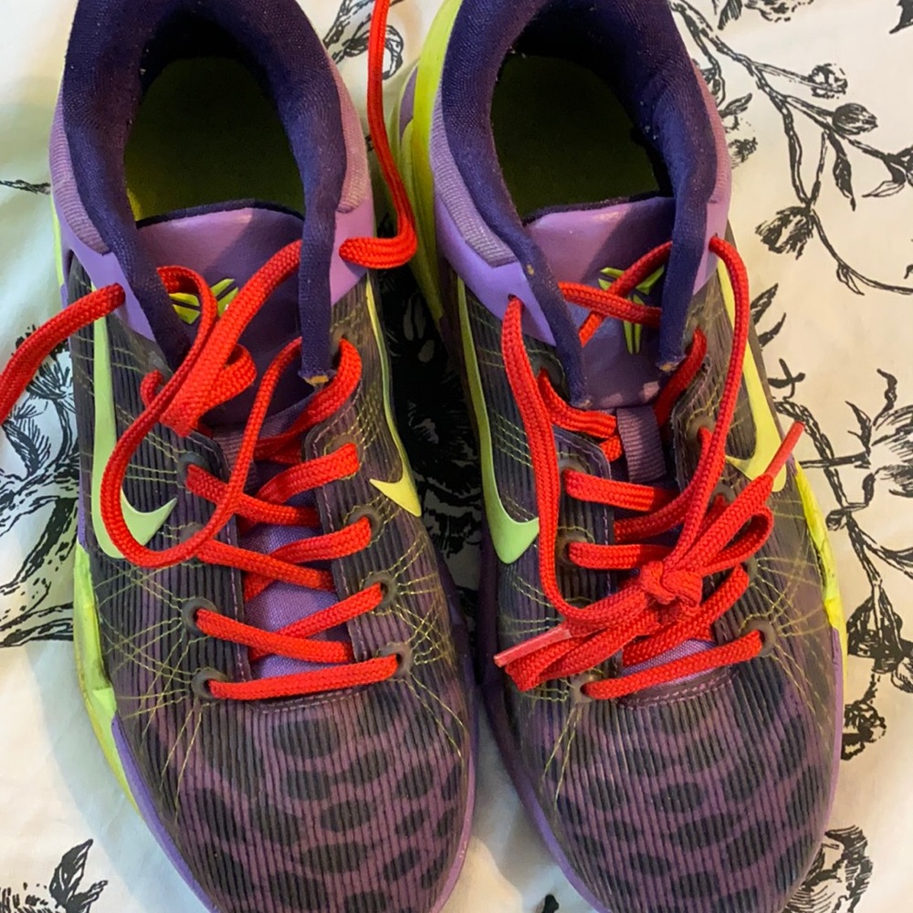 Kobe cheetah